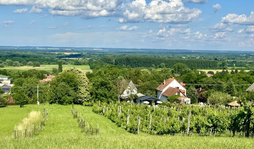 Szent Orbn Panzi Zalakaros - Kutyabart apartmanok Zalakaros