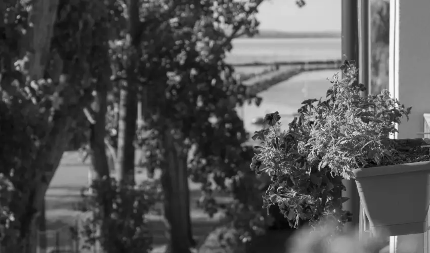 Port �tterem & Panzi� Balatonm�riaf�rd�