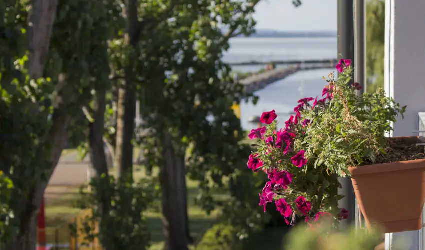 Port Étterem & Panzió Balatonmáriafürdő