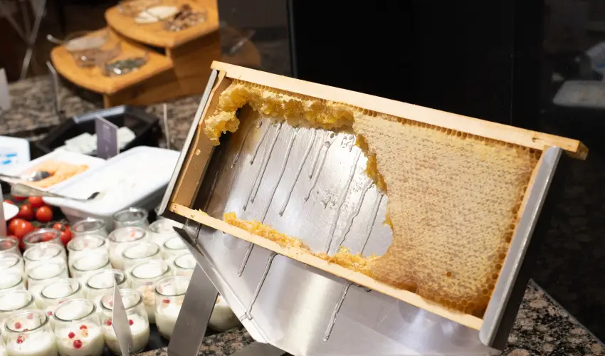 Lotus Therme Hotel & Spa Hévíz