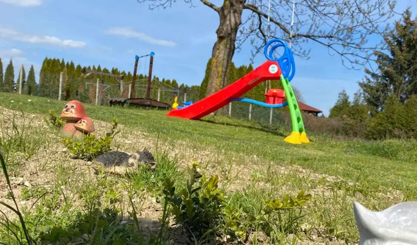 Silence Apartmanhz Zalakaros Zalakaros