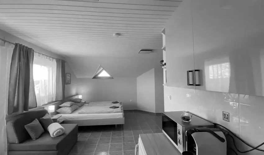 Silence Apartmanh�z Zalakaros Zalakaros