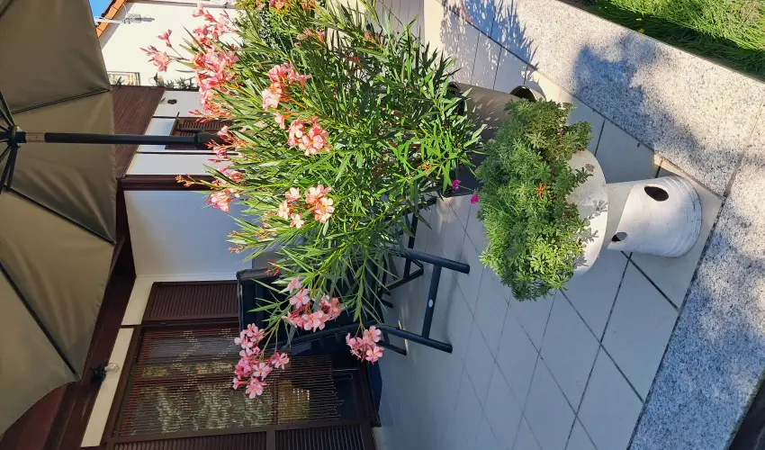 Sunshine Vendghz Balatonfenyves