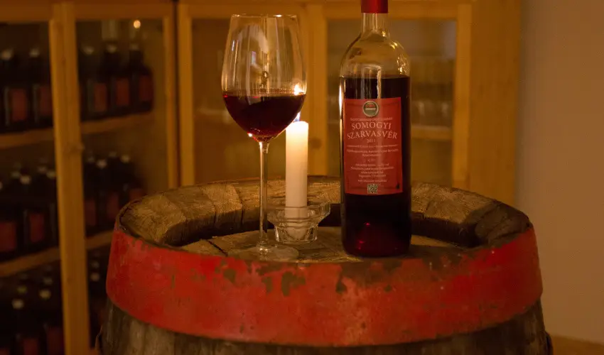 Viktor Bor- s Vendghz Balatonmriafrd