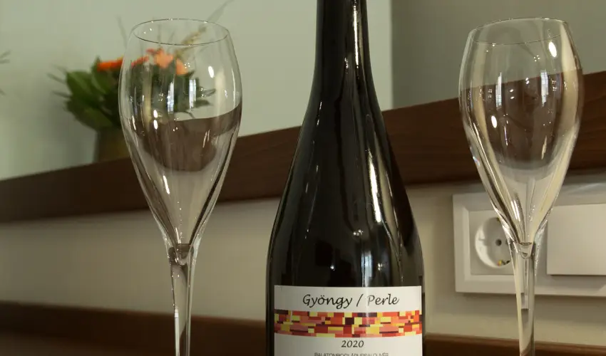 Viktor Bor- s Vendghz Balatonmriafrd