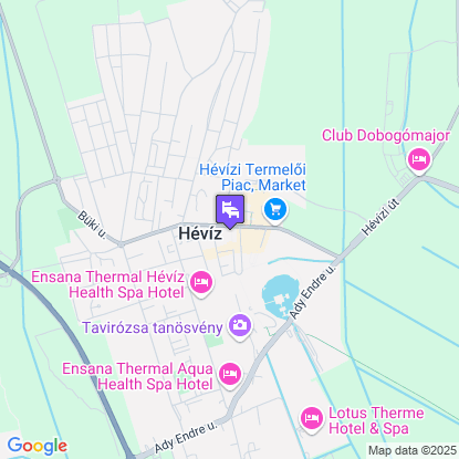 Palace Hotel  a trkpen